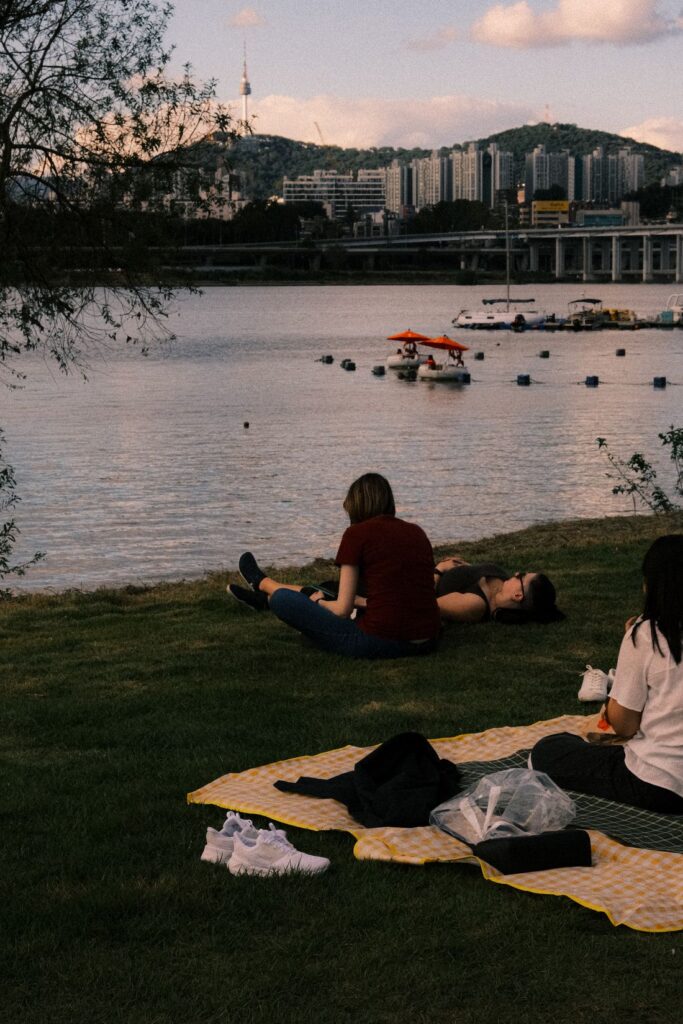 People relaxing at a Han River park in Seoul